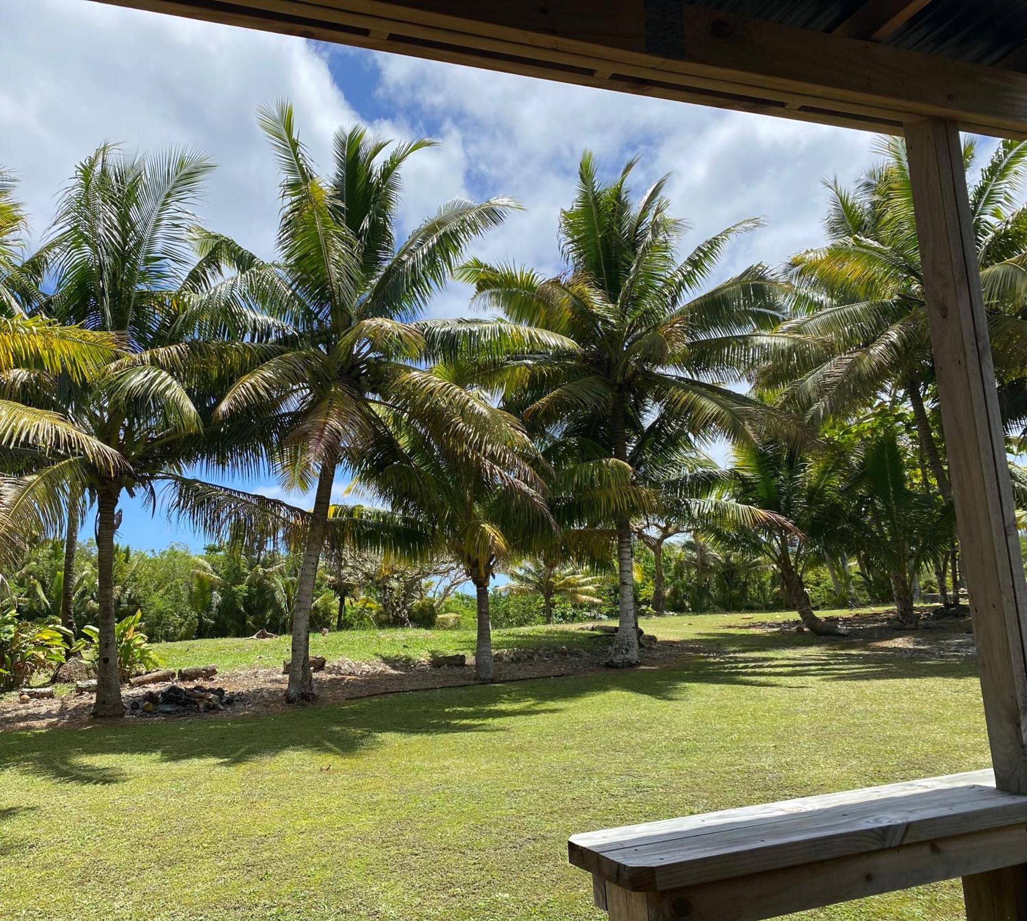 David'S Fale, Alofi, Niue 外观 照片